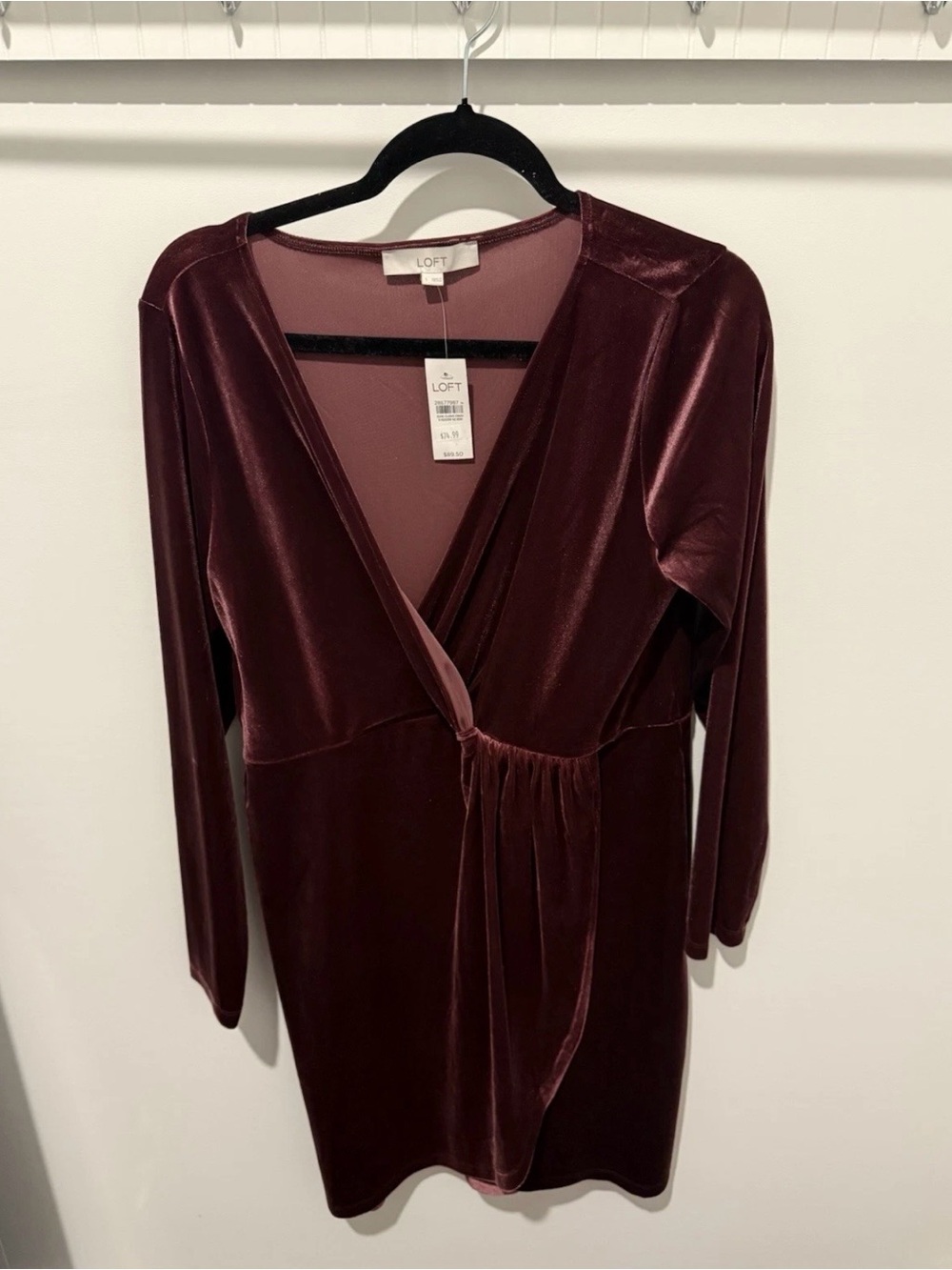 LOFT Long Sleeve Velvet Dress in Deep Wine